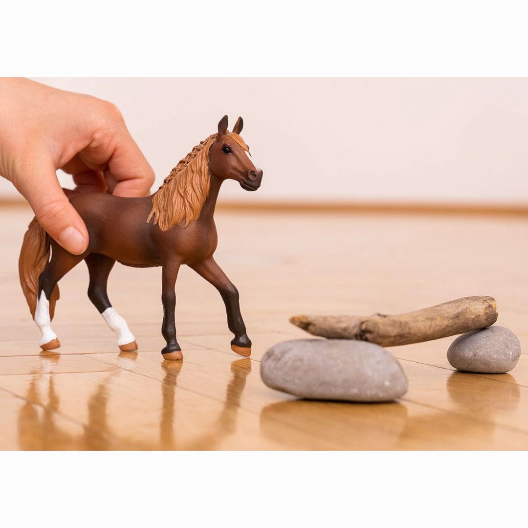 13953 Schleich Horse Club - Giumenta Paso Peruano